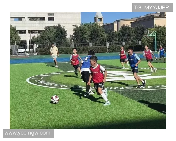 足球615：探索足球世界的魅力与激情，感受赛场上的每一次心跳与欢呼